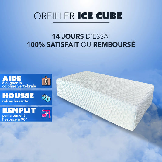 Oreiller Ice Cube